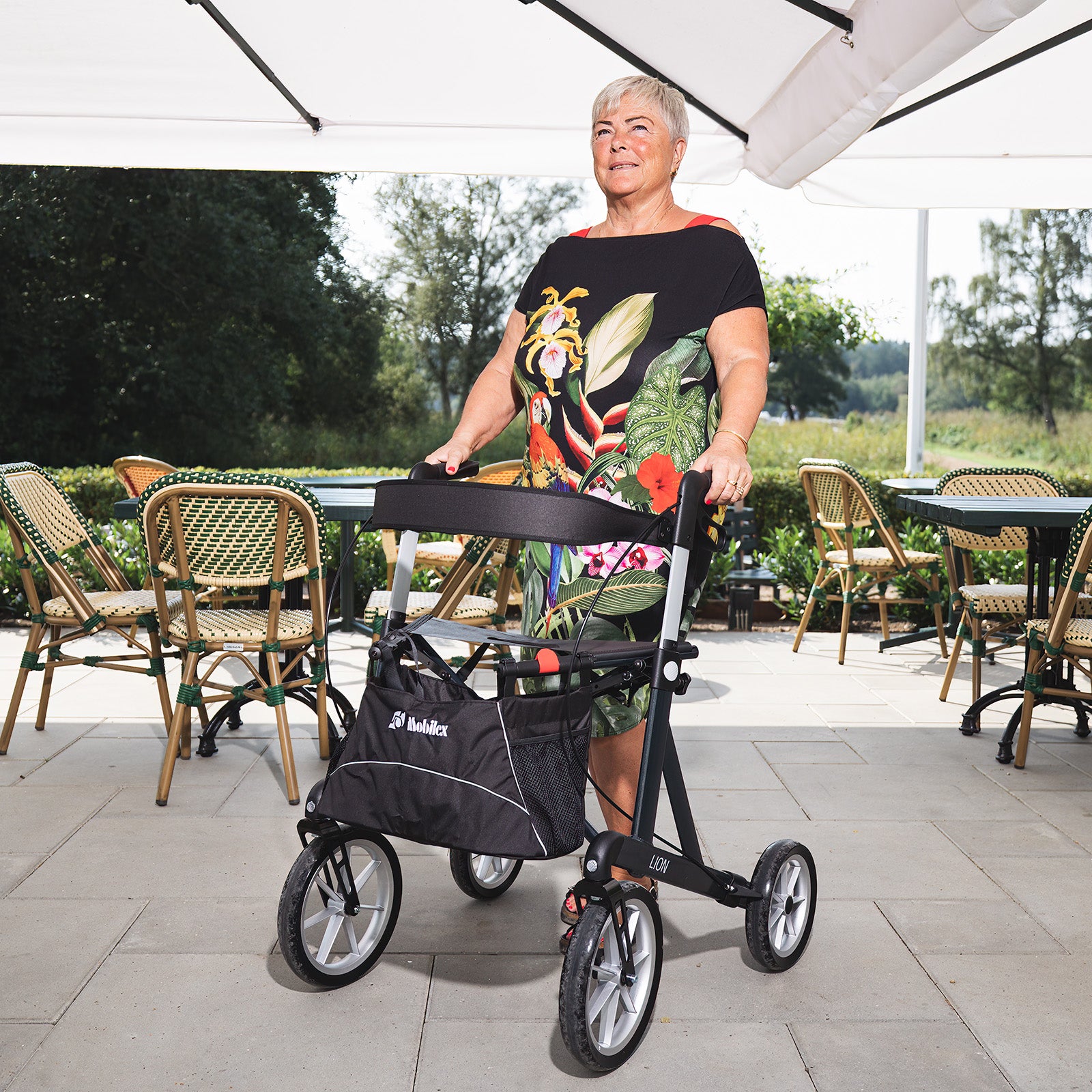 Rollator LION | Anthrazit