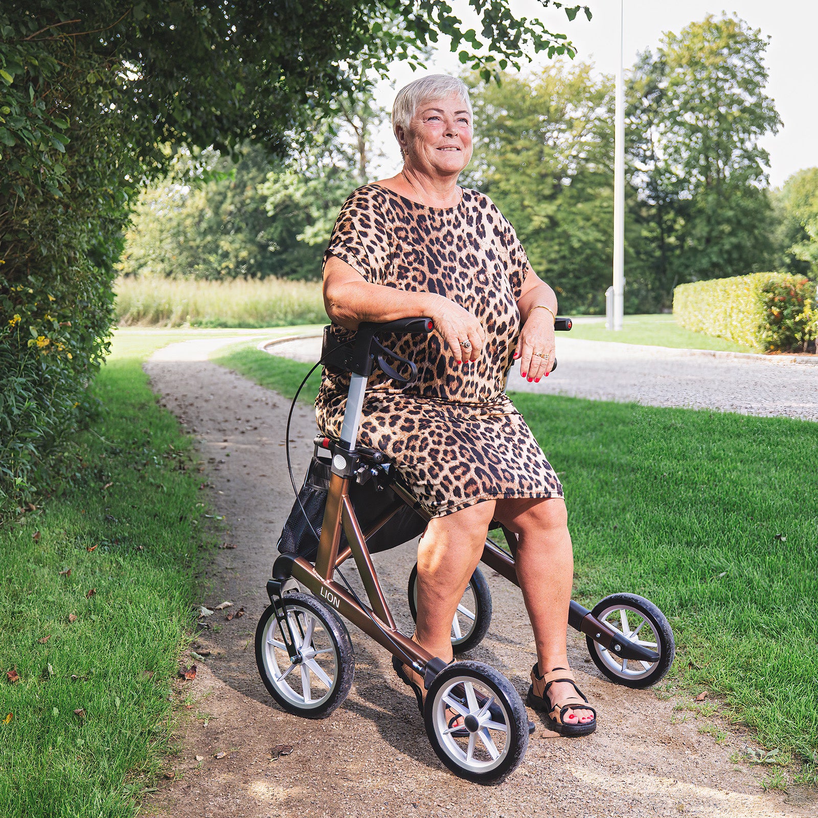 Rollator LION | Braun