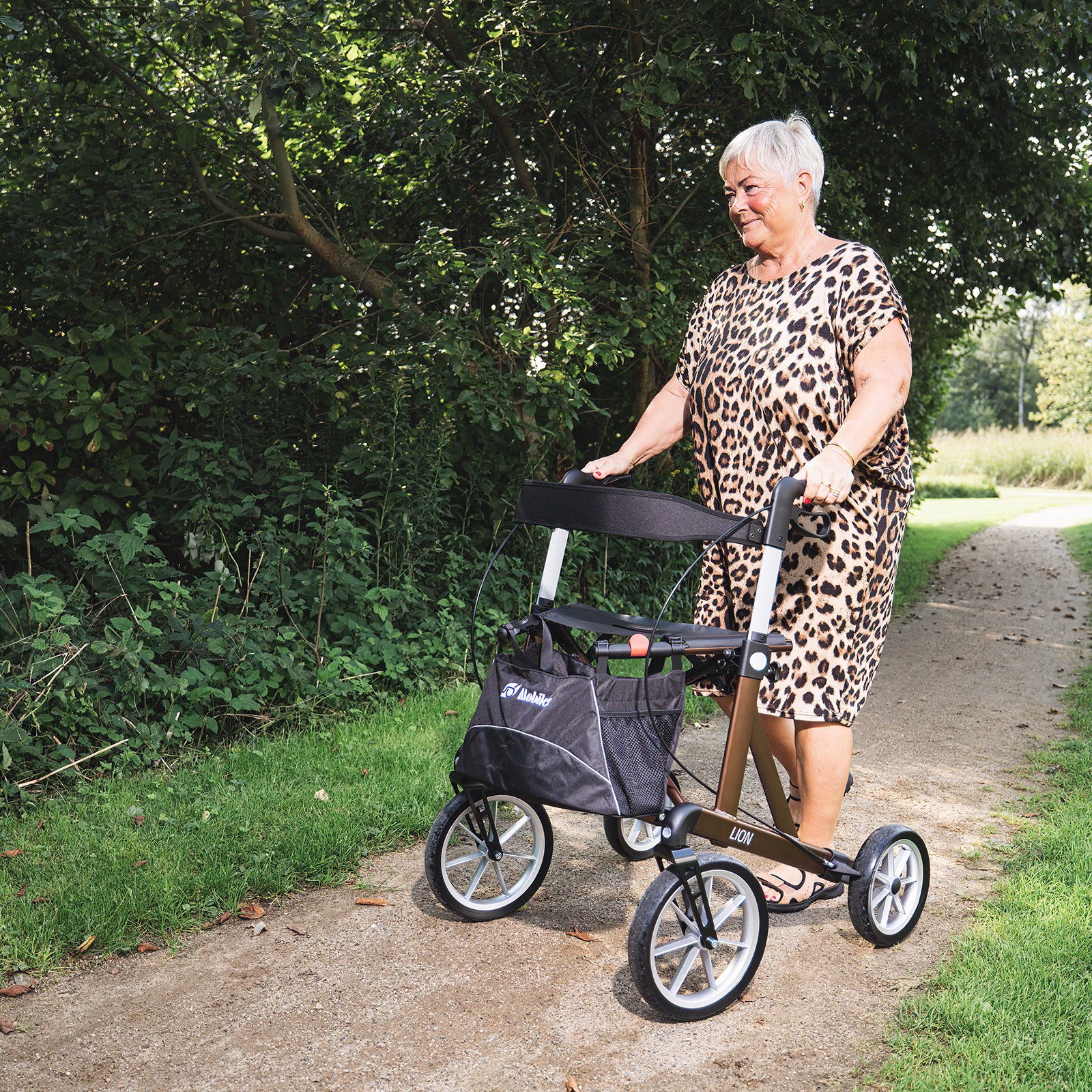 Rollator LION | Braun